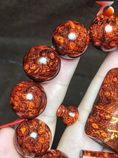 印度小葉紫檀18mm×13老料極品瘤疤【富甲天下】4