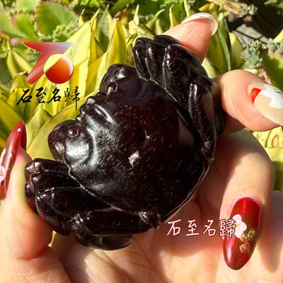 天然 印度小葉紫檀高油密爆滿金星樹心料 湘工手作【八方來財】4