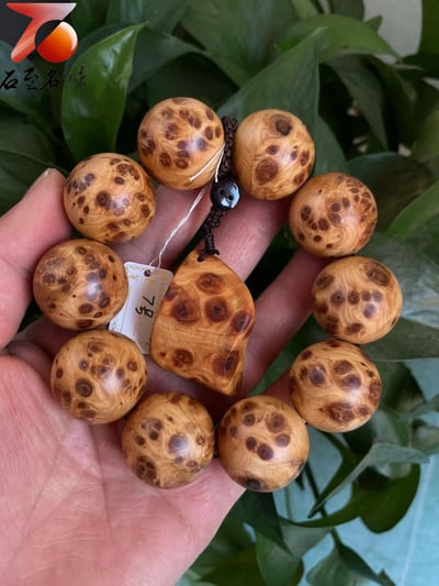 精選正宗太行崖柏雀眼瘤疤7