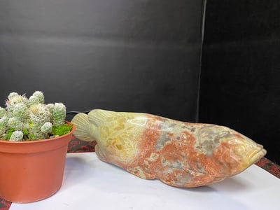 壽山旗降石【龍魚】4