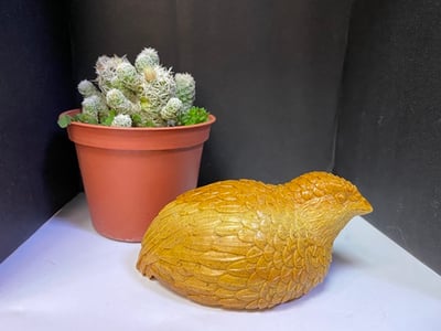 壽山老岭石【安享太平-鵪鶉】3