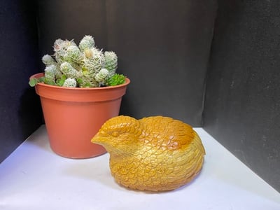 壽山老岭石【安享太平-鵪鶉】1