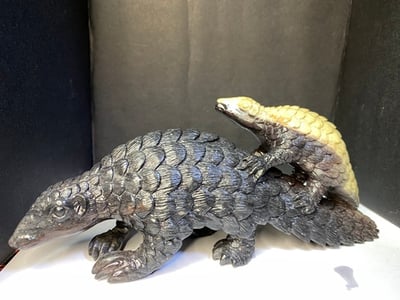 壽山山秀園【母子穿山甲】4