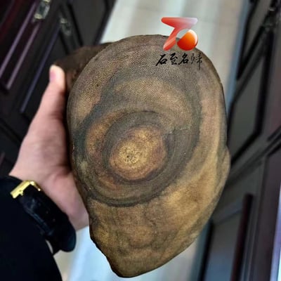 純天然達拉干沉香 黑油圓棍料8