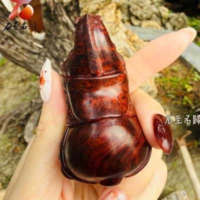 嚴選天然 印度小葉紫檀纓子瘤【對駿迎財】4