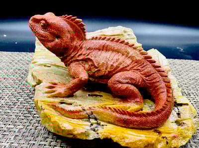 壽山老岭石【蜥蜴-吸億】3