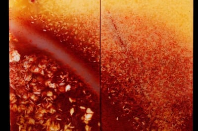 絕礦壽山芙蓉魚籽洞奇石對章【素章】5