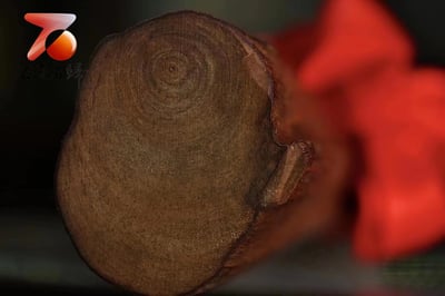 精選百年加里曼丹沉香 實心高密度【沉香鎮宅】7