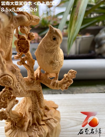 雲南大葉黃楊木精雕作品【喜上眉梢】高18公分6