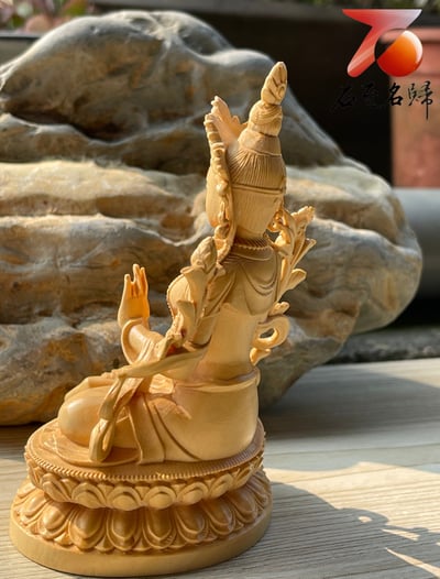 台灣現貨 實體店鋪 雲南大葉黃楊【綠度母】2