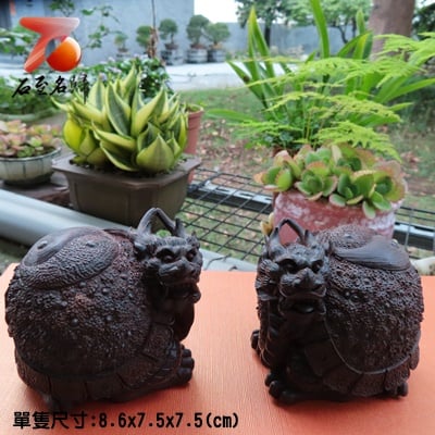 印度小葉紫檀【太極龜】2