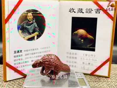 壽山肅山石【朱甲開祥-穿山甲】王逸文老師純手工雕刻7