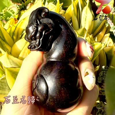 天然 印度小葉紫檀高油密滿金星樹心料 湘工手作【玄曜八卦龍】2