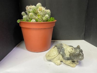 壽山大山石【壽鼠】2