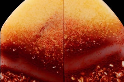 絕礦壽山芙蓉魚籽洞奇石對章【素章】7