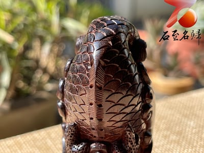 印度小葉紫檀高油密二膘料 手把件／擺件 【鰲魚】7