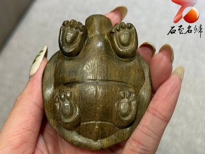 金絲楠木小葉楨楠陰沉綠料雕刻【長壽龜】歲月的祝福，平安的延續5