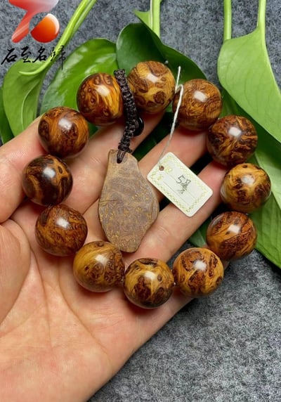 極品收藏 太行崖柏雪花瘤20mm手珠 5號5