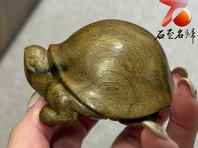金絲楠木小葉楨楠陰沉綠料雕刻【長壽龜】歲月的祝福，平安的延續3