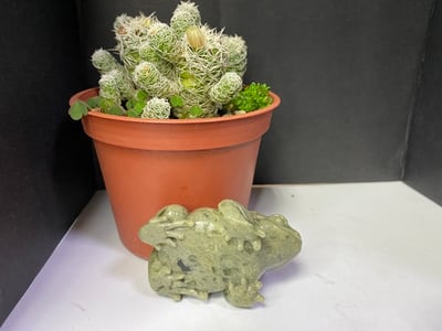 壽山石【呱呱來財】7