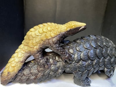 壽山山秀園【母子穿山甲】8