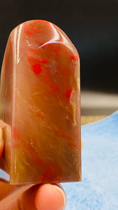 巴林牛角凍地雞血4