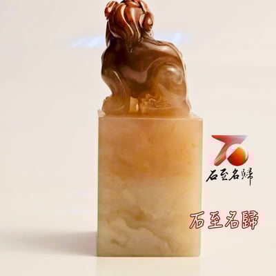 壽山石芙蓉體高透光 方印【母子貔貅】5