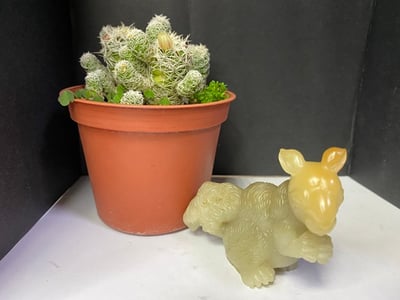 壽山石【送福松鼠】6