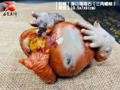 壽山瑪瑙石【紅紅火火-三角蟾蜍】5