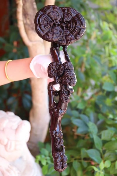 印度小葉紫檀二膘整料【靈芝如意】3