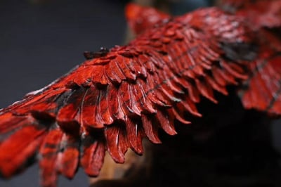 印度小葉紫檀高油密老料【神鵰-大展宏圖】5