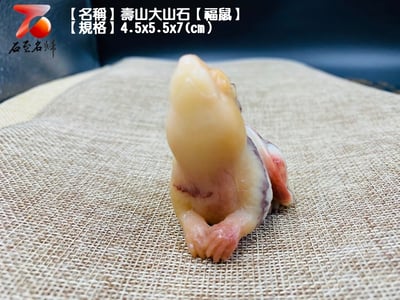 壽山大山石【福鼠】4