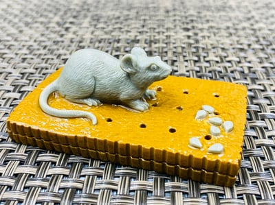 壽山山秀園石 天然巧色巧雕【多子多福】1