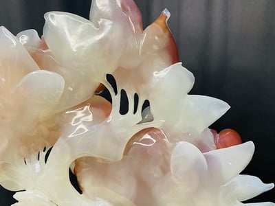 阿富汗紅花冰玉【花開富貴】11