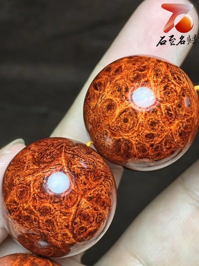 印度小葉紫檀 爆滿瘤疤 25mm手珠【如意】4