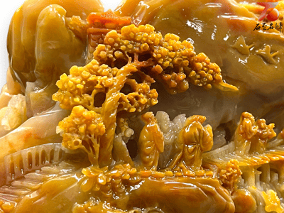 老撾北部田黃石【祿鷺高昇】6