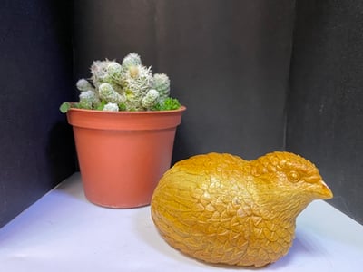 壽山老岭石【安享太平-鵪鶉】4