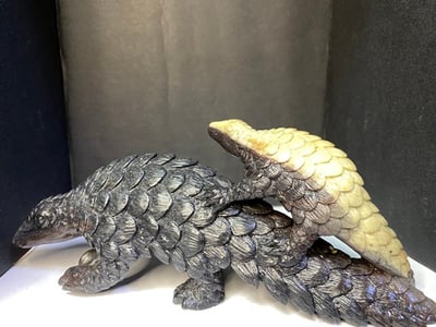 壽山山秀園【母子穿山甲】9