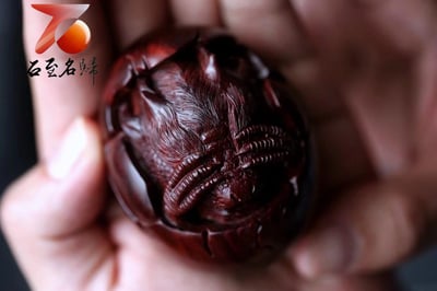 印度小葉紫檀 精選高油密老料 手工製作打磨【龍生九子】5