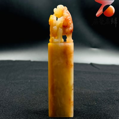 老撾三彩荔枝凍瑞獸方印4