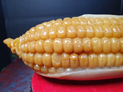 田黃石收藏品 風水擺件 寮國田黃石【玉米】2