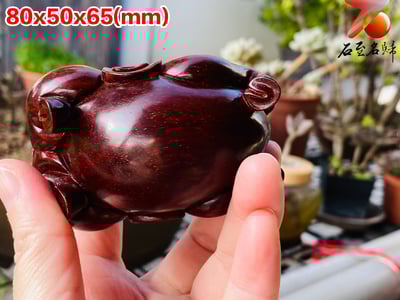 印度小葉紫檀高油密二膘料＋爆滿金星 湘工手作【唐馬套組】9