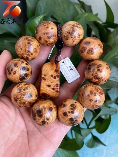 精選正宗太行崖柏雀眼瘤疤8