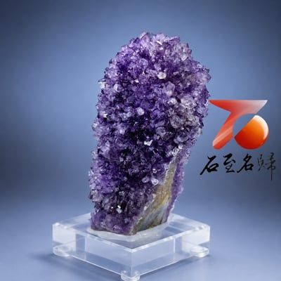 天然 烏拉圭精品收藏級紫晶花｜柱狀原礦擺件2