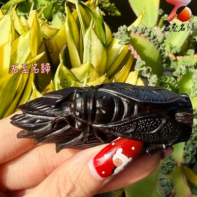 天然 印度小葉紫檀高油密帶金星樹心料 湘工手作【葉上靜鳴】2