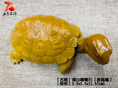壽山峨嵋石【長壽龜】4