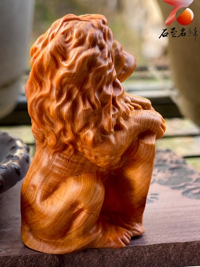 重慶城口古崖柏高油料【獅子王】4