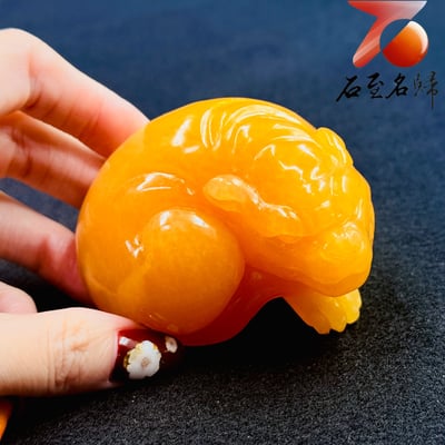 印尼金水凍【金珀凝瑞・抱福守財】3