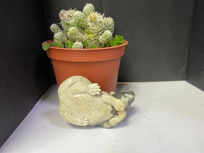 壽山大山石【壽鼠】7