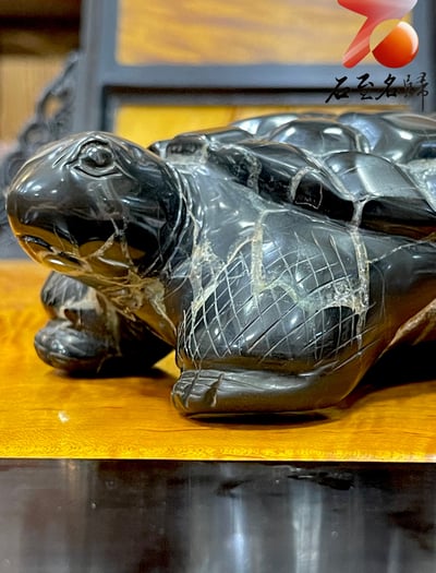 龜甲石重量級1.7公斤作品 手工雕烏龜 【盤古神龜】3